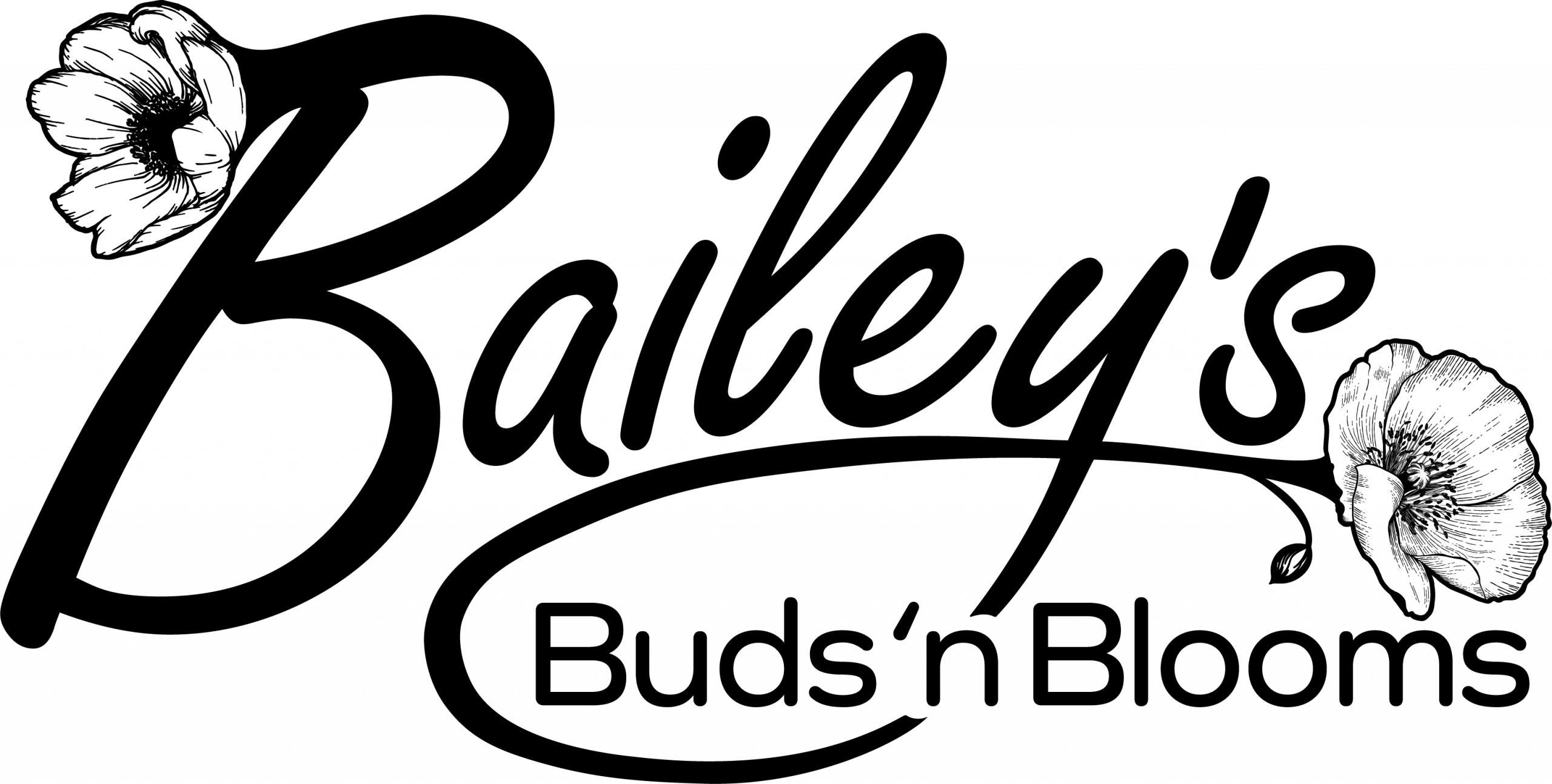 Baileys_logo2025_black